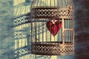 The Caged Heart