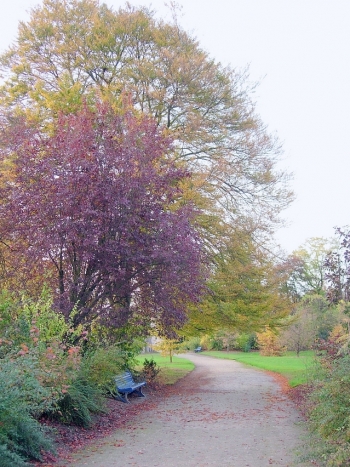 A Bench Tucked Away